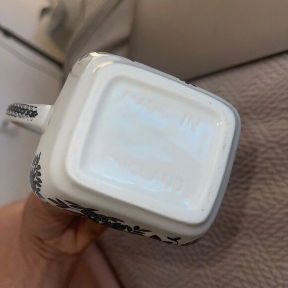 Johnson Brothers Asiatic Pheasant Black Creamer And Sugar Set - Picture 12 of 12